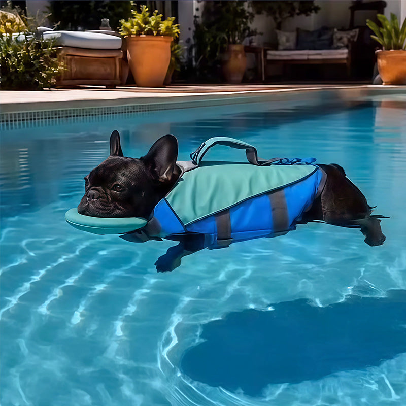 Gilet de sauvetage pour chien - Réfléchissant, réglable et haute flottabilité